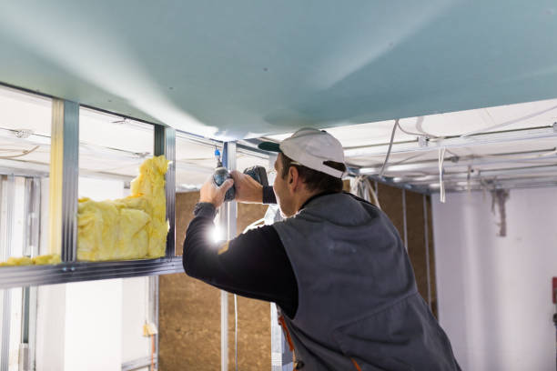 Types of Insulation We Offer in Halls, TN